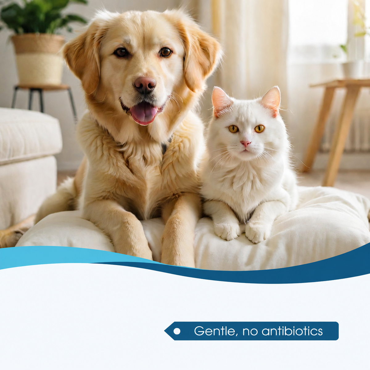 🐶🐱 Pet Ear Cleaner – Gentle Ear Cleaning & Itch Relief for Dogs & Cats