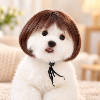 🐾 Stylish Pet Wig – Cute Bob Hairstyle for Photos, Parties & Everyday Fun