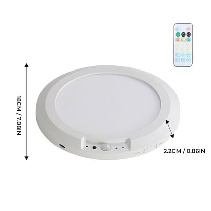 Motion Sensor Ceiling Light