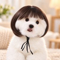Brown · Fringe Bob