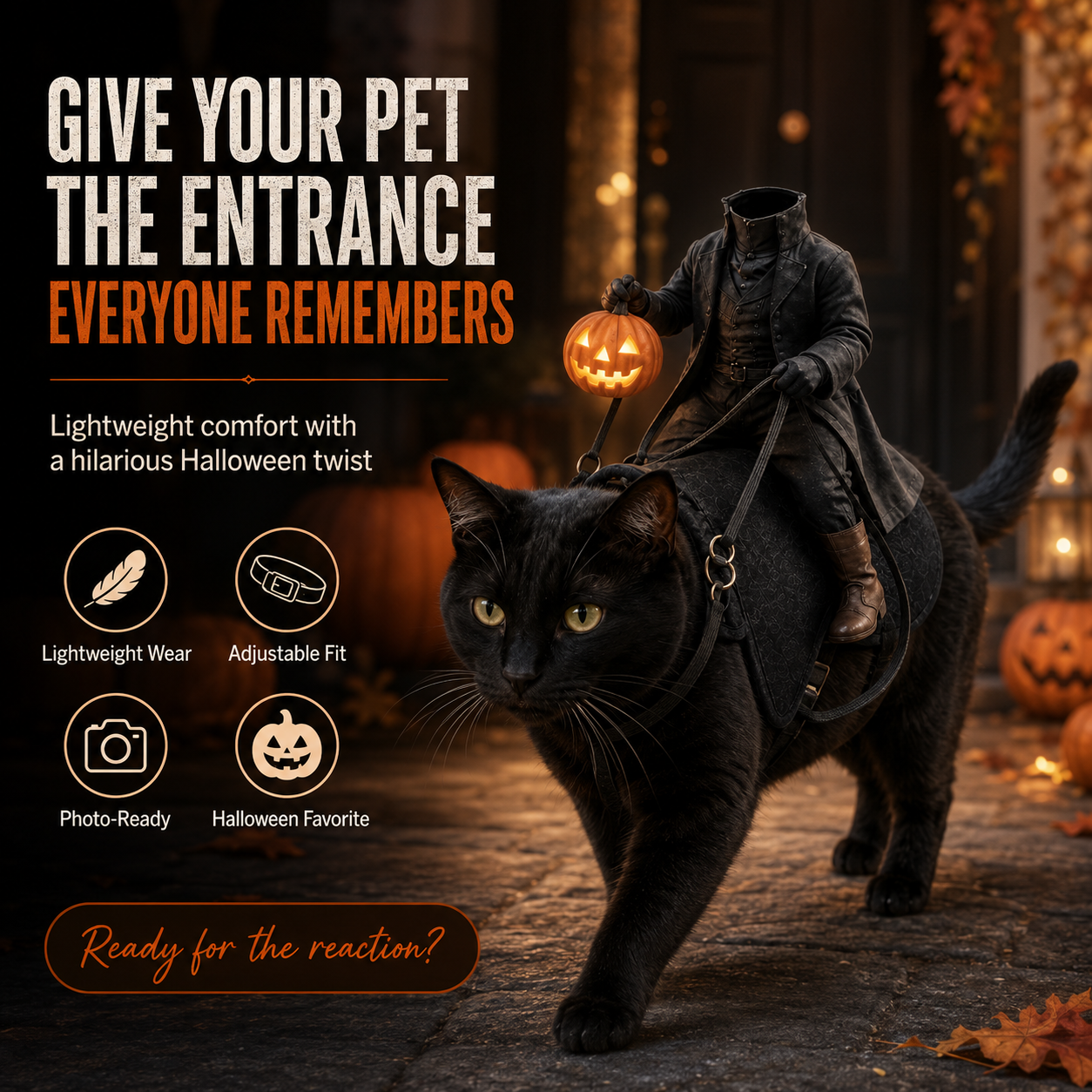 😺The Headless Horseman Rider Pet Costume🎃