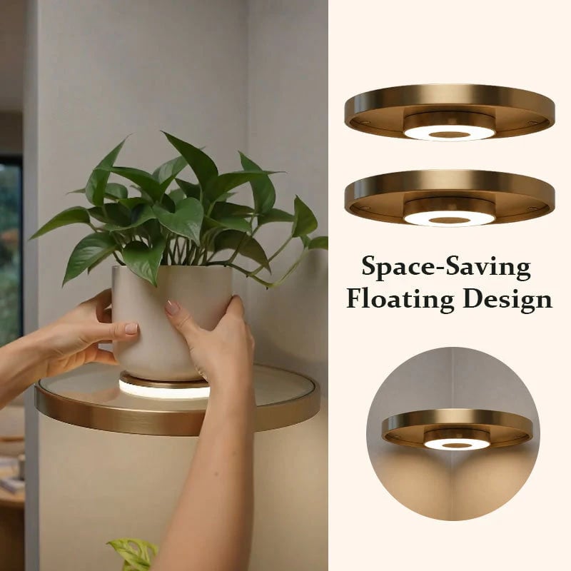 🔥Last Day 49% OFF🌿 Floating Plant Shelf with Built-in Ambient LED Light