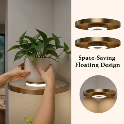 🔥Last Day 49% OFF🌿 Floating Plant Shelf with Built-in Ambient LED Light