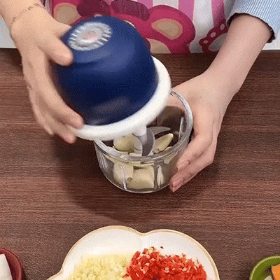 Household Electric Garlic Crusher