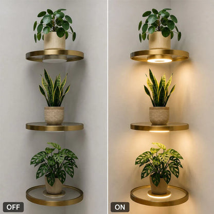 🔥Last Day 49% OFF🌿 Floating Plant Shelf with Built-in Ambient LED Light