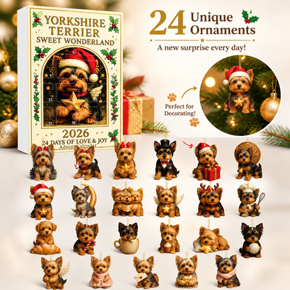 🐎Equestrian Magic Advent Calendar｜24 Days of Equestrian Magic