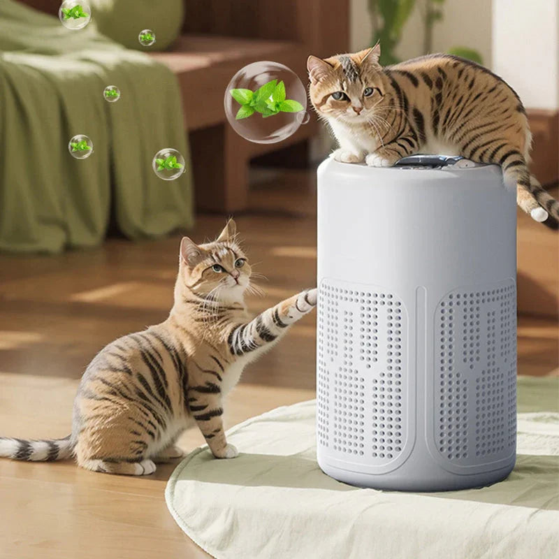 🏠 Compact Home Air Purifier – Multi-Layer Filter, Quiet Operation, Energy-Efficient – Perfect for Allergies, Dust & Pet Hair 🌿
